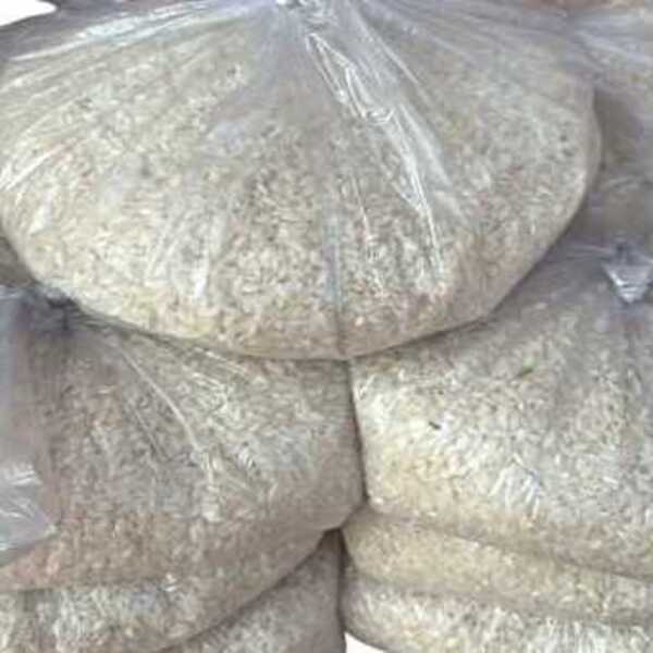 Titik Rice Tipi Rice