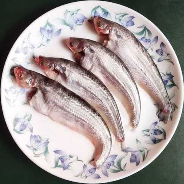 Pabho Fish