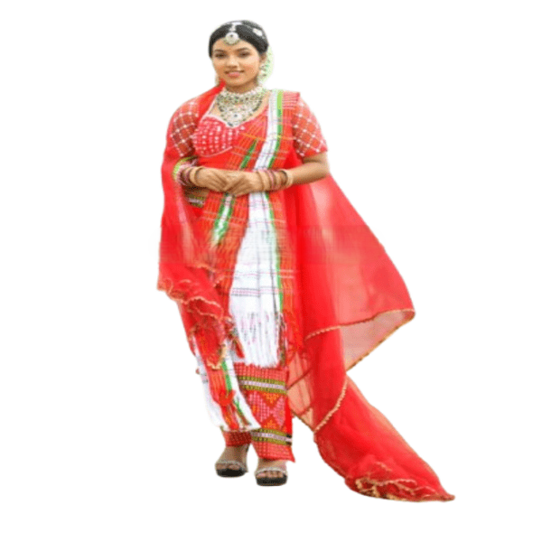 maroon dress for ladies Celena Maxi Dress | Burgundy Burnout | Womens