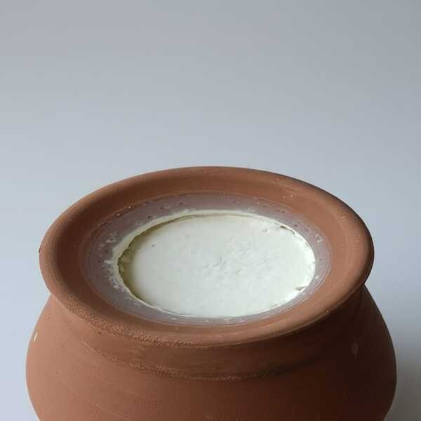 Buffalo Curd