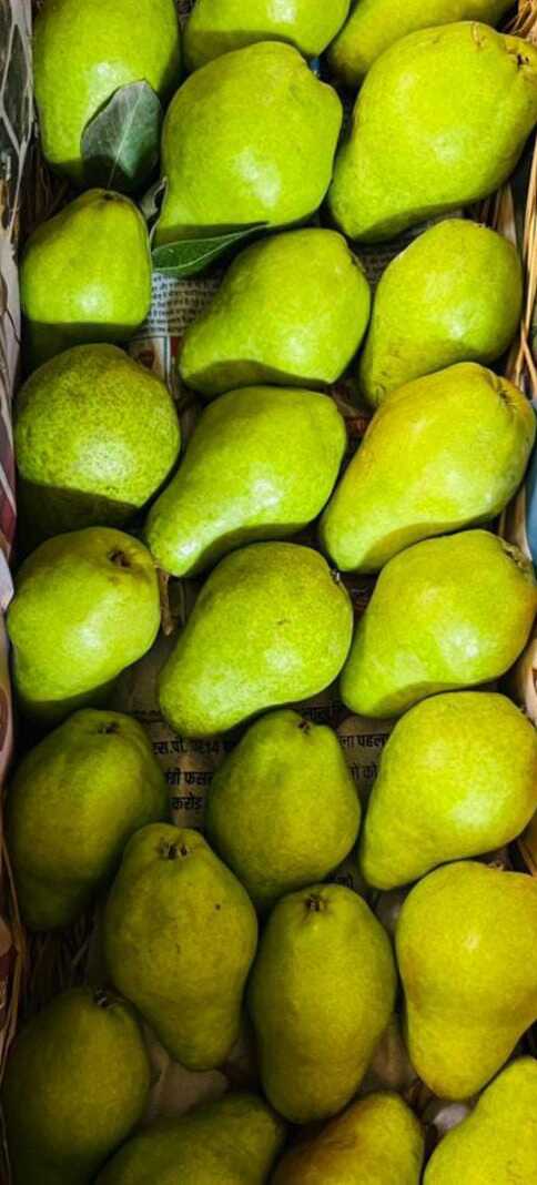 Pear