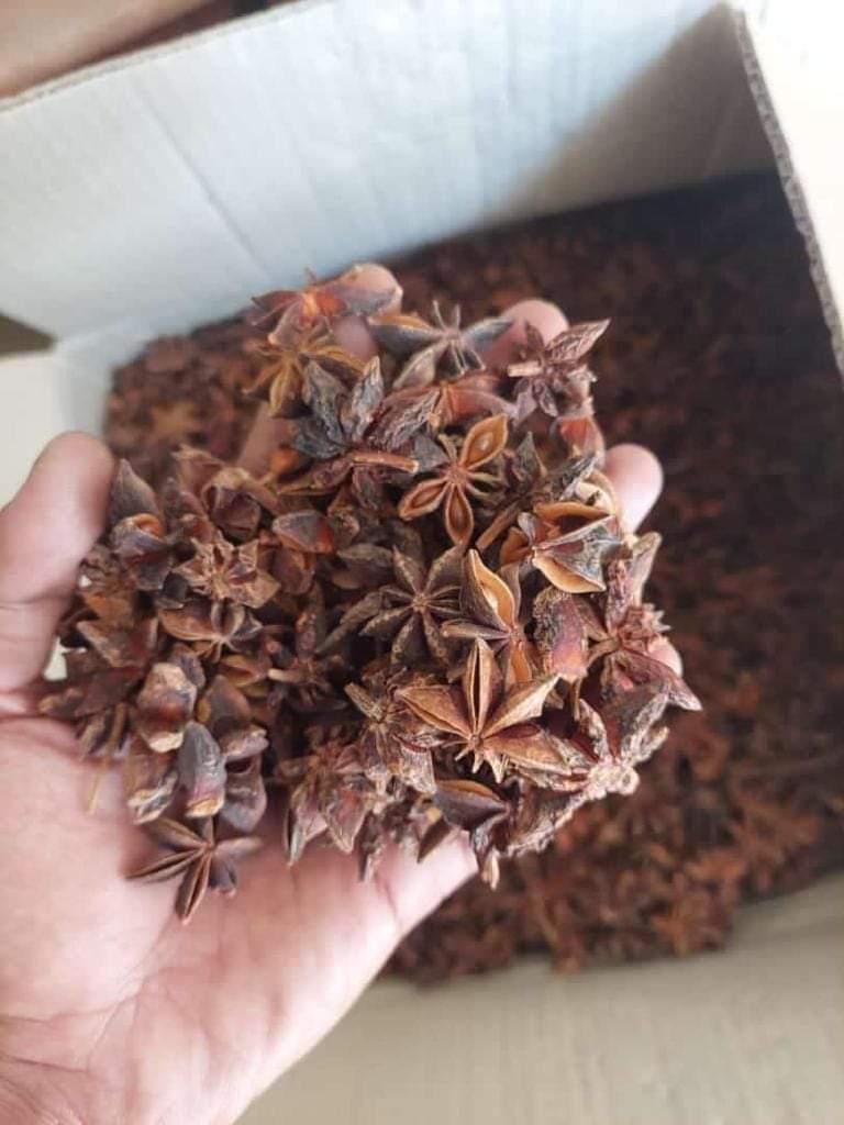 Star Anise