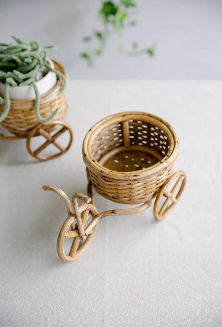 Cane Cycle Planter