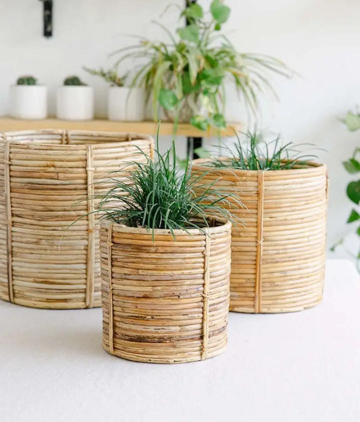 Rattan Planter