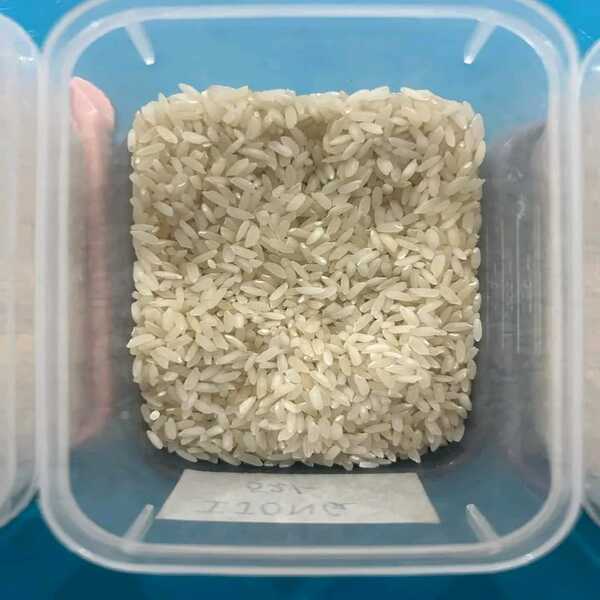 Ranjit Rice
