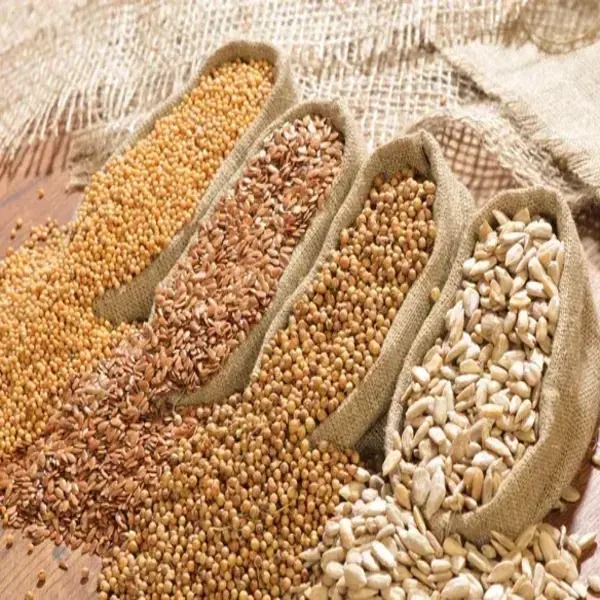 Grain Seed